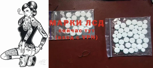 индика Киренск