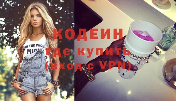индика Киренск