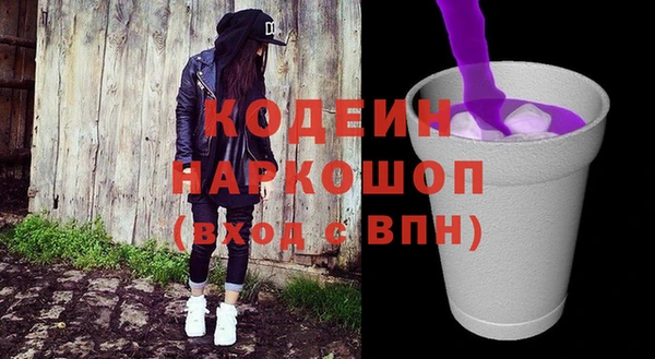 индика Киренск