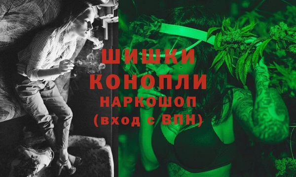 индика Киренск