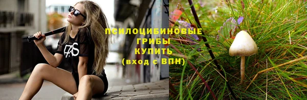 шишки Киреевск